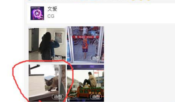 網(wǎng)易云音樂gif動圖怎么下載保存?下載保存gif動圖步驟分享