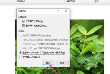 PPT壓縮插入圖片怎么操作？壓縮插入圖片方法說明