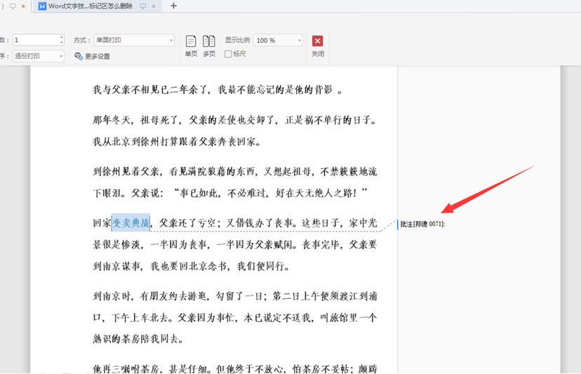 WPSWord文檔標(biāo)記區(qū)怎么刪除