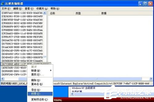 WinXP系統(tǒng)Flash Player安裝遇到錯誤怎么辦？