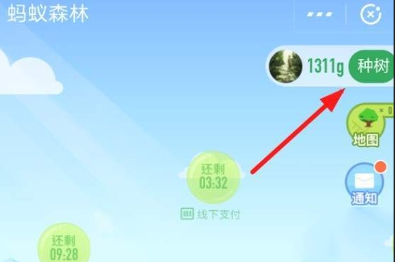 在支付寶里怎么認(rèn)領(lǐng)螞蟻森林保護(hù)地?認(rèn)領(lǐng)螞蟻森林保護(hù)地的方法說(shuō)明