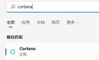 Win11小娜如何開(kāi)啟？Win11開(kāi)啟小娜的方法