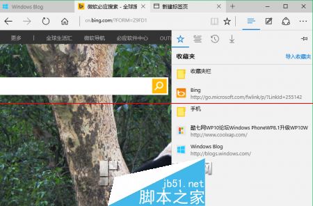 win10正式版Edge瀏覽器收藏夾在什么位置？收藏夾具體位置說明