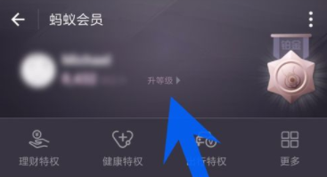 支付寶如何查看螞蟻會員積分？螞蟻會員積分查看步驟介紹