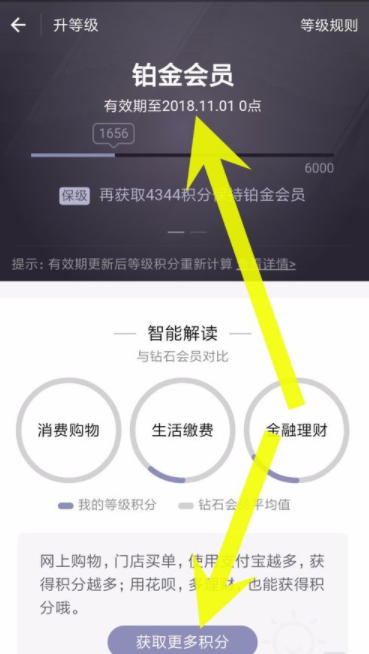 支付寶如何查看螞蟻會員積分？螞蟻會員積分查看步驟介紹
