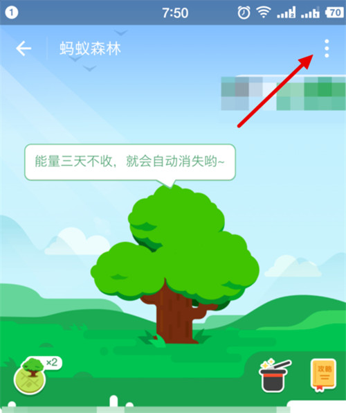 支付寶螞蟻森林能量值怎樣隱藏？隱藏森林能量值方法分享
