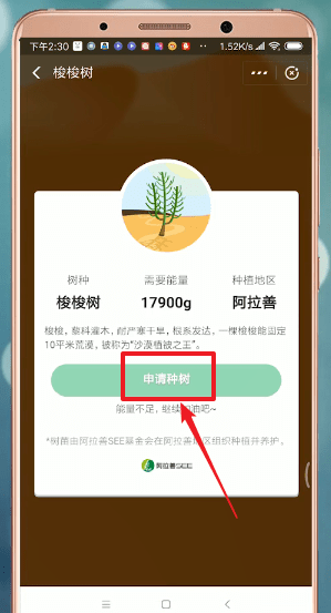 支付寶中螞蟻森林獲得環(huán)保證書具體操作步驟