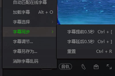愛奇藝萬(wàn)能播放器怎么調(diào)字幕 手把手教你調(diào)出好字幕