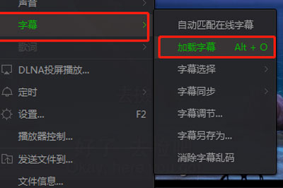 愛奇藝萬(wàn)能播放器怎么調(diào)字幕 手把手教你調(diào)出好字幕