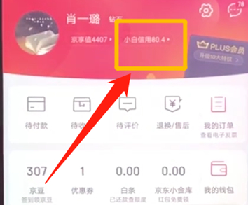 手機(jī)京東提升小白信用的具體操作步驟