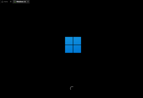 windows11系統界面圖片樣式詳情