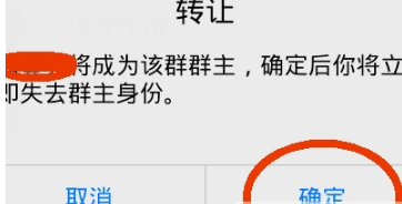 手機(jī)QQ群怎么轉(zhuǎn)讓給別人 手機(jī)QQ群轉(zhuǎn)讓群主方法