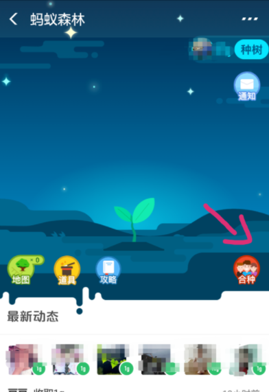 支付寶螞蟻森林如何發起合種？螞蟻森林操作教程