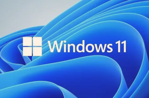 Win11打開(kāi)任務(wù)管理器黑屏怎么辦