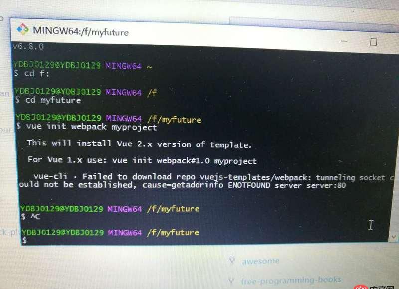 node.js - vue-cli構(gòu)建報(bào)錯(cuò)。。。生成不了模板，求解~！！