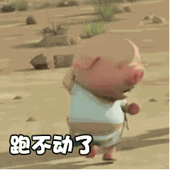 抖音小豬跑步跑步動(dòng)態(tài)表情包分享【高清無(wú)水印】