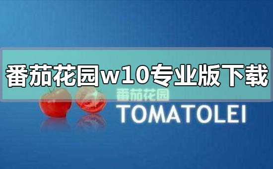 番茄花園win10專業(yè)版在哪下載