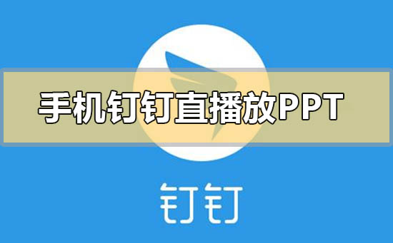 手機(jī)釘釘直播怎樣放ppt