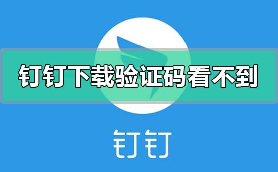釘釘下載app驗(yàn)證碼看不到刷不出來(lái)怎么辦