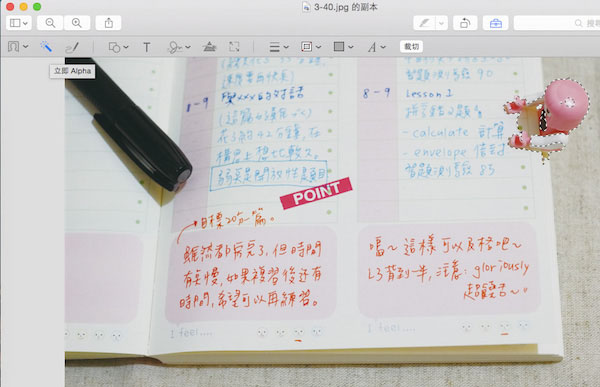 Mac OS的瀏覽功能有什么用？Mac預(yù)覽功能中的一些實(shí)用技巧