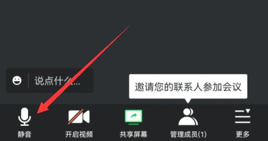 騰訊會議關(guān)麥教程