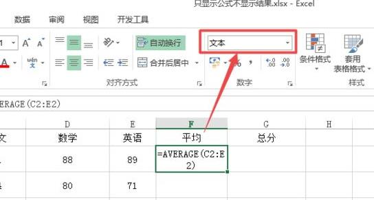 excel函數(shù)不顯示結(jié)果只顯示公式解決方法