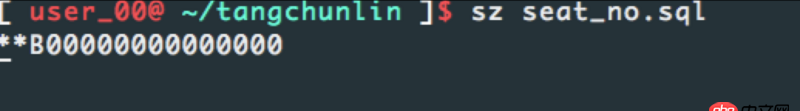 linux - mac夏iterm2配置sz rz無法下載文件