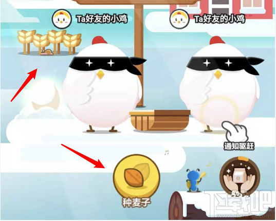 支付寶螞蟻莊園怎么種麥子？支付寶螞蟻莊園可以給自己種麥子嗎