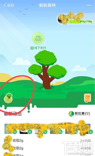螞蟻森林模擬地圖從哪進？