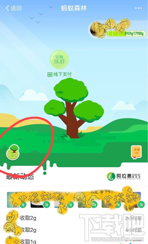 支付寶螞蟻森林地圖怎么進入?螞蟻森林模擬地圖入口在哪