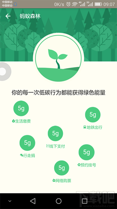 支付寶螞蟻森林是什么?支付寶螞蟻森林詳細介紹