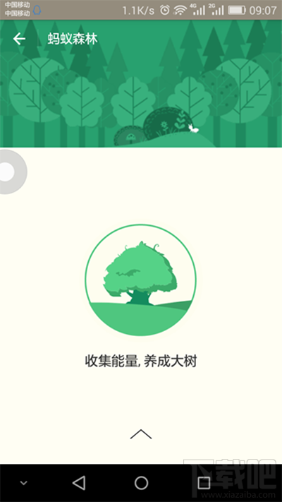 支付寶螞蟻森林是什么?支付寶螞蟻森林詳細介紹