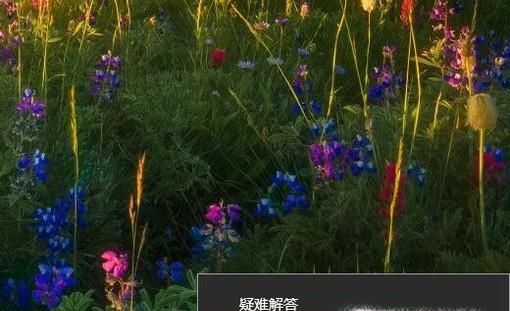 Win10連不上無線網(wǎng)wifi了怎么辦