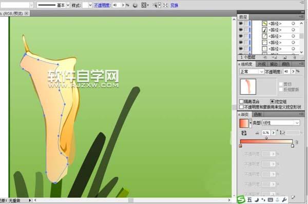 ai怎么畫馬蹄蓮花束圖片